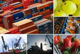 La mejor opción de logística, transporte y de apoyo al comercio exterior en Manzanillo